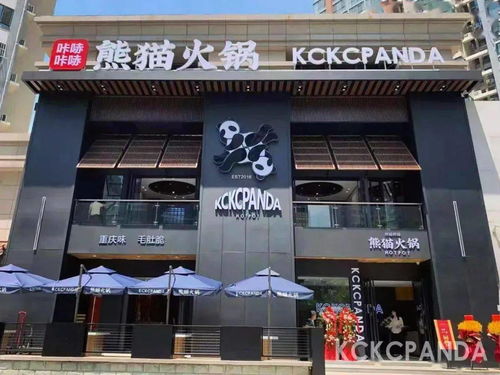 五折 超火爆 島城最萌kckc熊貓火鍋來啦 麻辣爽脆,地道重慶味兒