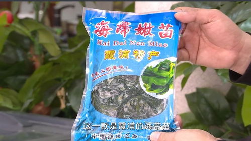 豪新食品市場動態 專欄 鑫浪海洋食品 從霞浦來到晉江 推廣銷售海鮮干貨