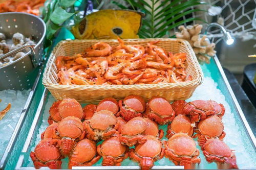 盛夏光年主題海鮮美食節(jié) 豪橫僅168元，暢享200+高品質料理