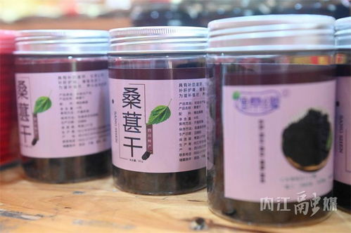 第41周 特產游 | 來市中區耍，一站購齊‘甜城味’豪味來